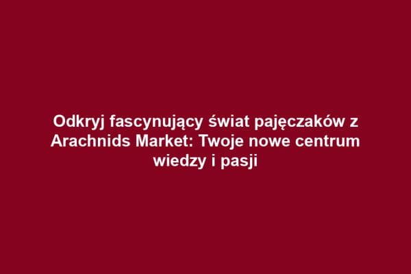 Odkryj fascynujący świat pajęczaków z Arachnids Market: Twoje nowe centrum wiedzy i pasji