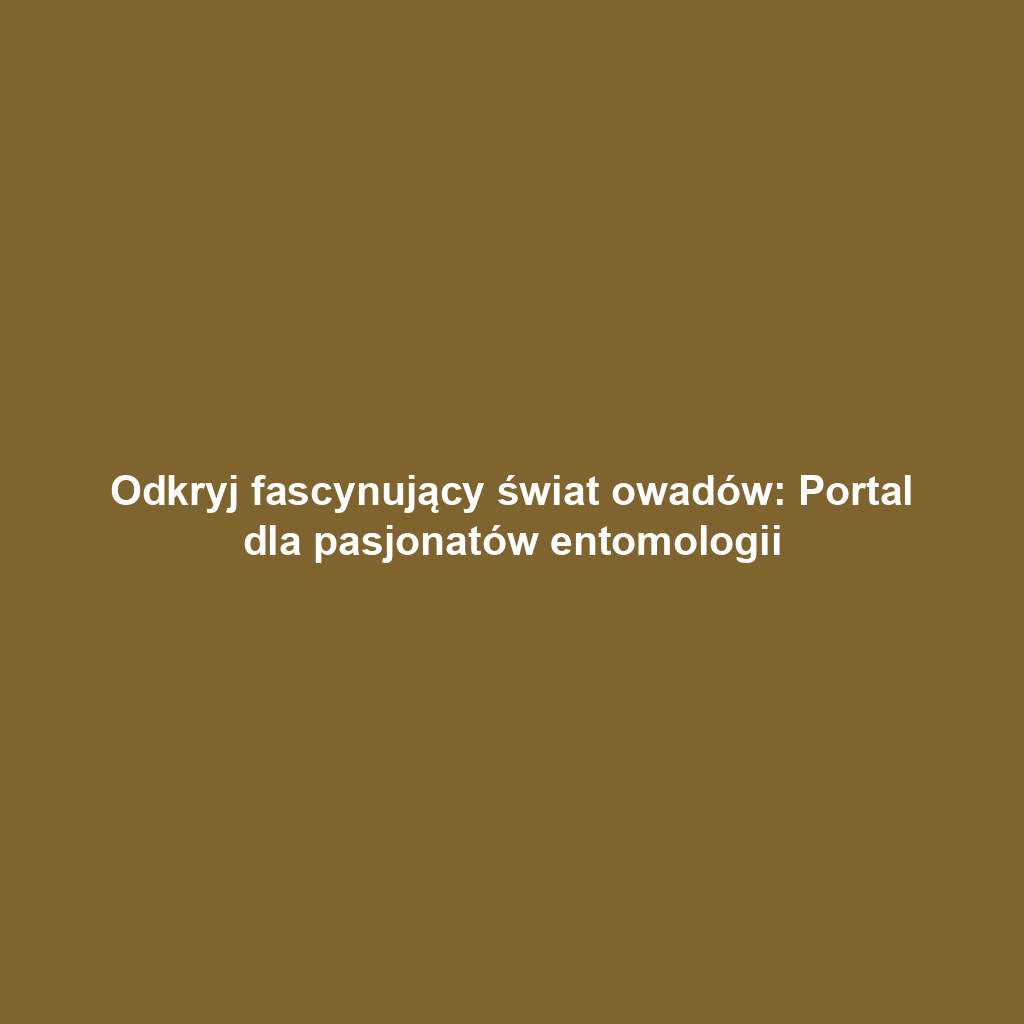 Odkryj fascynujący świat owadów: Portal dla pasjonatów entomologii
