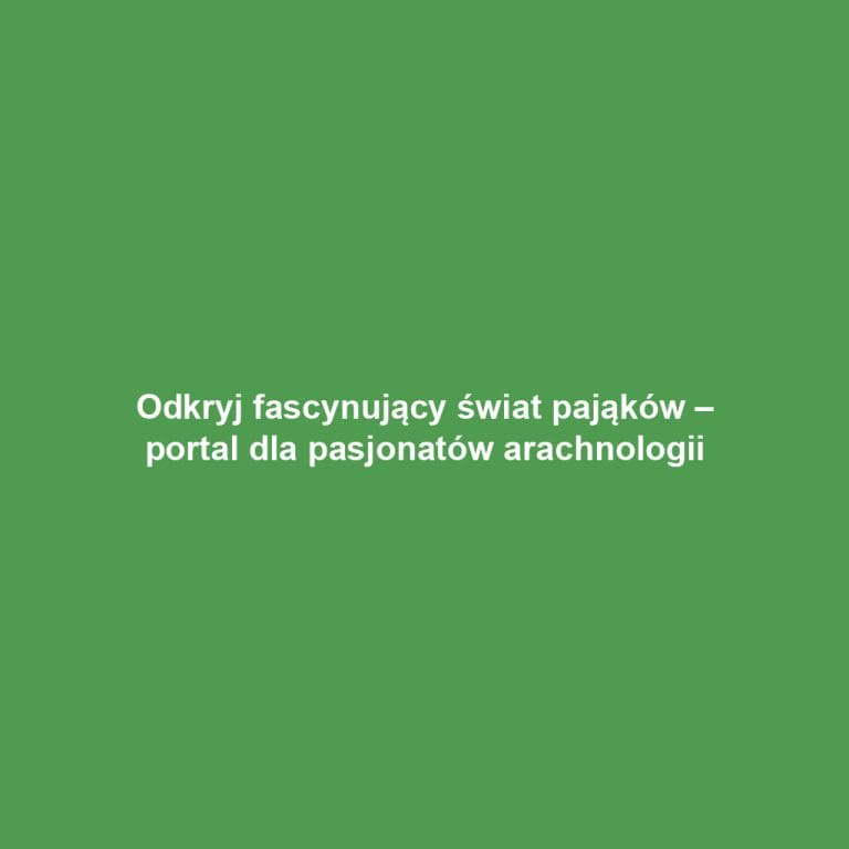 Odkryj fascynujący świat pająków – portal dla pasjonatów arachnologii