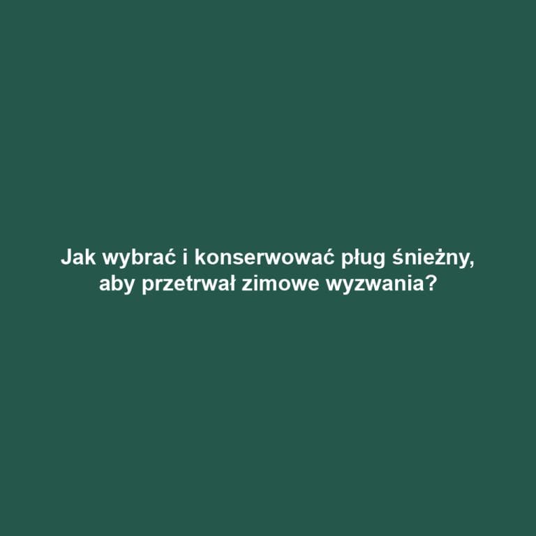 Jak wybrać i konserwować pług śnieżny, aby przetrwał zimowe wyzwania?