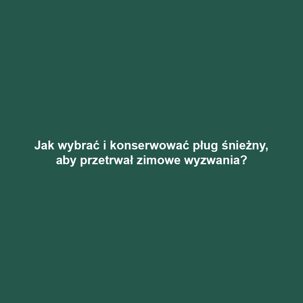 Jak wybrać i konserwować pług śnieżny, aby przetrwał zimowe wyzwania?